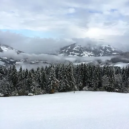 Panorama Victoria Hopfgarten im Brixental